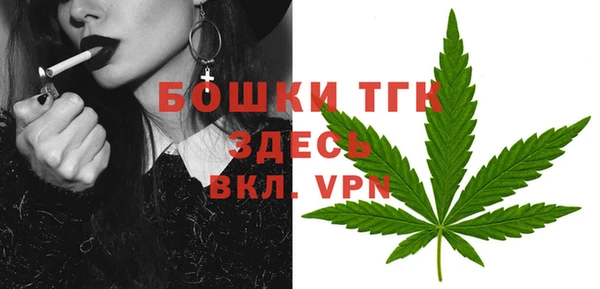 стаф Кинешма