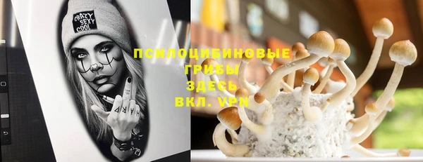 мяу мяу мука Киреевск