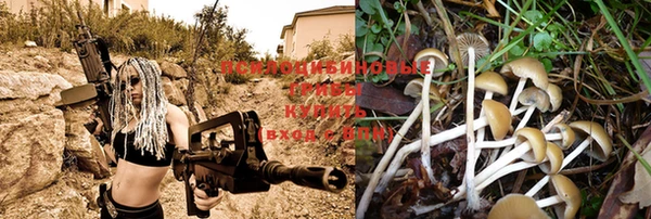 стаф Кинешма