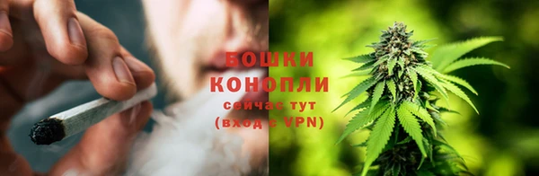 стаф Кинешма