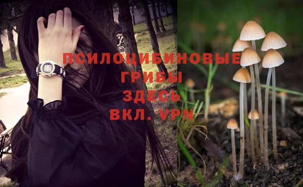 мяу мяу мука Киреевск