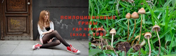 ПСИЛОЦИБИНОВЫЕ ГРИБЫ Киренск