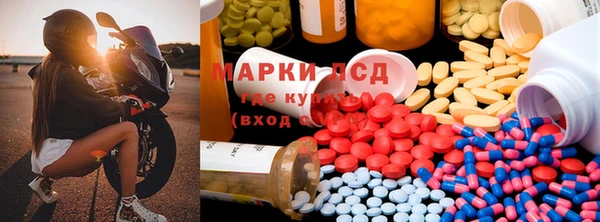 ПСИЛОЦИБИНОВЫЕ ГРИБЫ Киренск