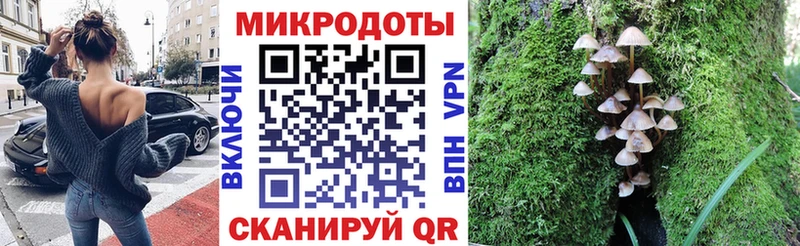 Псилоцибиновые грибы Cubensis  Купить где  Лодейное Поле 