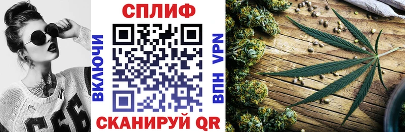 Купить Лодейное Поле Бошки Шишки THC 21%